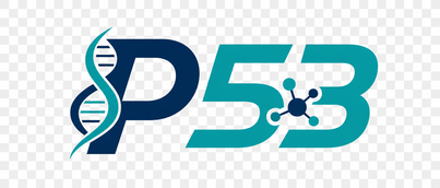 p53